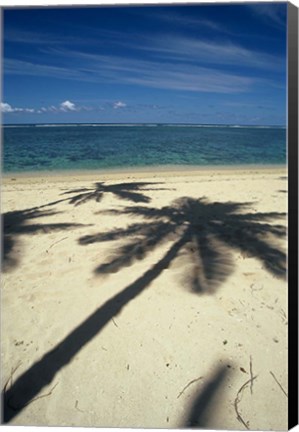 Framed Shadow of Palm Trees on Beach, Coral Coast, Fiji Print