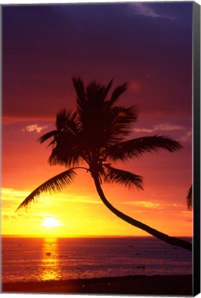 Framed Sunset and Palm Trees, Coral Coast, Viti Levu, Fiji Print