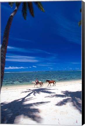 Framed Palm Trees and Horses, Tambua Sands, Coral Coast, Fiji Print