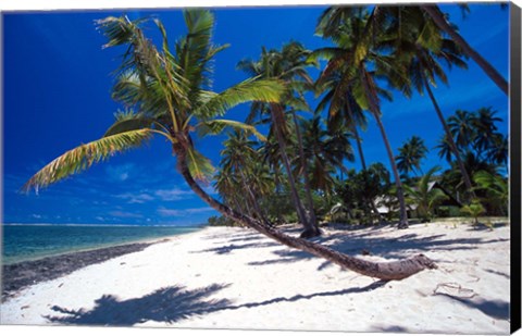 Framed Tambua Sands,Fiji Print