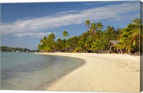 Framed Beach and palm trees,  Malolo Lailai Island, Mamanuca Islands, Fiji Print