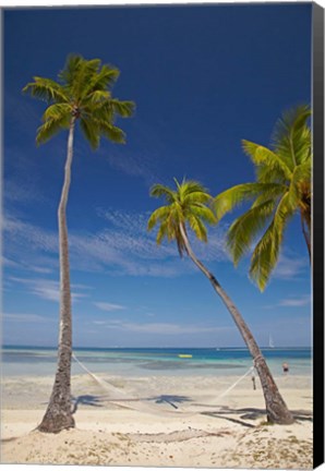 Framed Hammock and palm trees, Plantation Island Resort, Malolo Lailai Island, Mamanuca Islands, Fiji Print