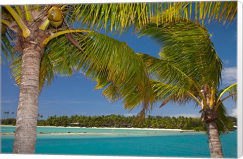 Framed Palm trees and lagoon entrance, Musket Cove Island Resort, Malolo Lailai Island, Mamanuca Islands, Fiji Print