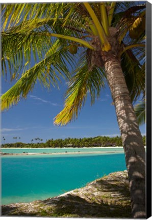 Framed Palm trees and lagoon entrance, Musket Cove Island Resort, Fiji Print