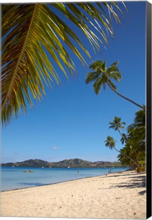 Framed Beach and palm trees, Plantation Island Resort, Malolo Lailai Island, Mamanuca Islands, Fiji Print