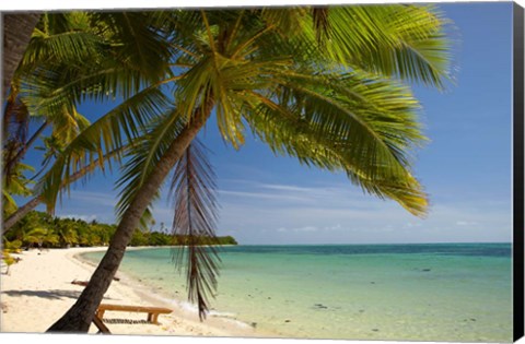 Framed Beach and palm trees, Plantation Island Resort, Mamanuca Islands, Fiji Print