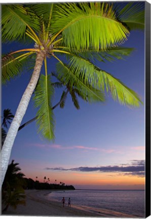 Framed Palm trees and sunset, Plantation Island Resort, Fiji Print