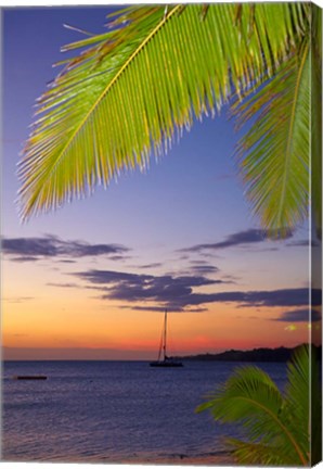 Framed Palm trees and sunset, Plantation Island Resort, Malolo Lailai Island, Mamanuca Islands, Fiji Print