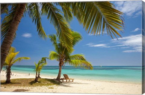 Framed Beach, palm trees and lounger, Plantation Island Resort, Malolo Lailai Island, Mamanuca Islands, Fiji Print