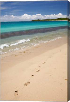 Framed Footprints in sand on Natadola Beach, Coral Coast, Viti Levu, Fiji Print