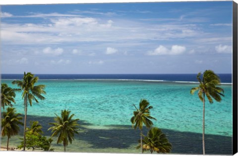 Framed Palm trees and coral reef, Crusoe&#39;s Retreat, Coral Coast, Viti Levu, Fiji Print