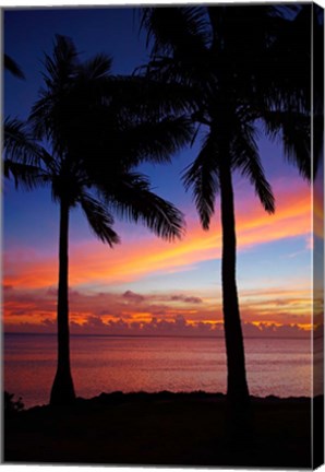 Framed Sunset and palm trees, Coral Coast, Viti Levu, Fiji Print