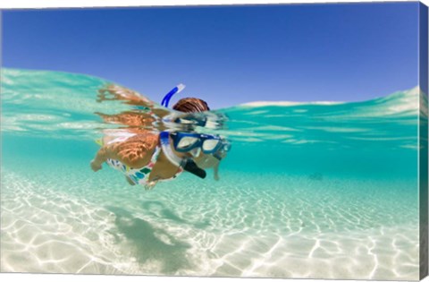 Framed Couple snorkeling, Beqa Island, Fiji Print