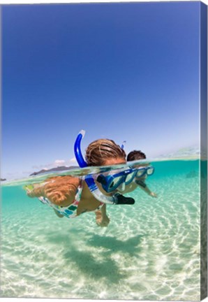 Framed Couple snorkeling near Beqa Lagoon, Beqa Island, Fiji Print