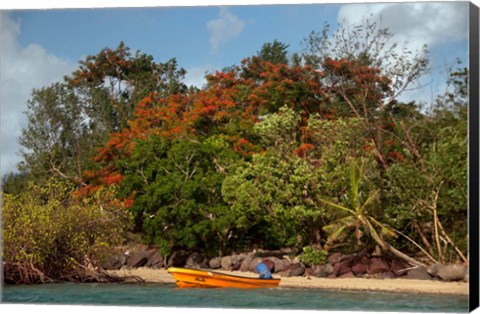 Framed Christmas Tree and Orange Skiff, Turtle Island, Yasawa Islands, Fiji Print