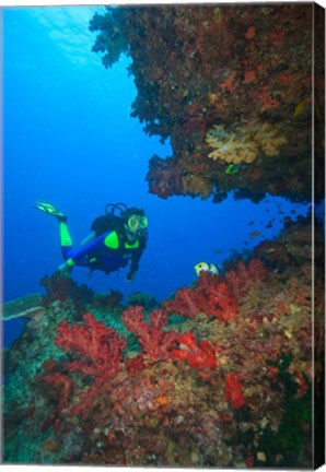 Framed Diver, Coral-lined Arc, Beqa Island, Fiji Print