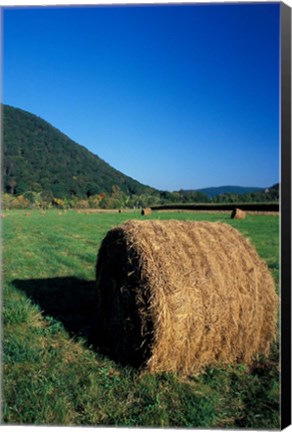 Framed Hay Bales in Litchfield Hills, Connecticut Print