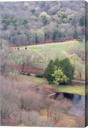 Framed Spring Forest in East Haddam, Connecticut Print