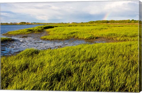 Framed Salt Marsh side of Long Beach,  Stratford, Connecticut Print