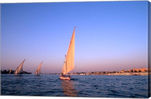 Framed Beautiful Sailboats Riding Along the Nile River, Cairo, Egypt Print