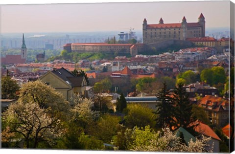 Framed Bratislava Castle, Bratislava, Slovakia Print