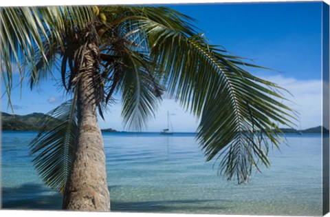 Framed Palm tree over clear waters around Nanuya Lailai Island, Blue Lagoon, Yasawa, Fiji, South Pacific Print