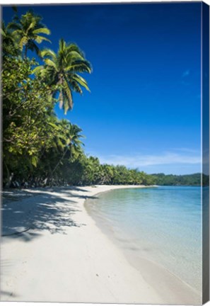 Framed White sand beach and water at the Nanuya Lailai island, the blue lagoon, Fiji Print