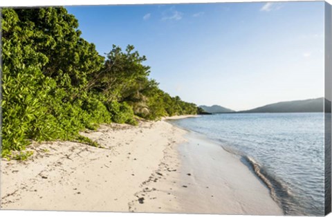 Framed White sandy beach, Fiji Print