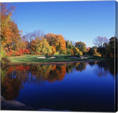 Framed Trees in a golf course, Patterson Club, Fairfield, Connecticut Print