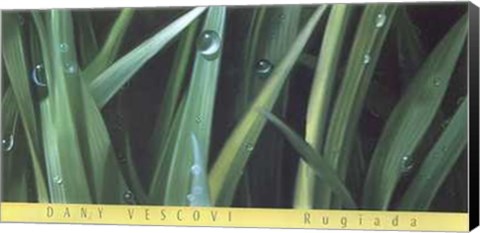 Framed Dany Vescovi - Rugiada Size 54.25x26.75 Print
