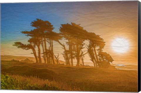 Framed Beach Trees Print