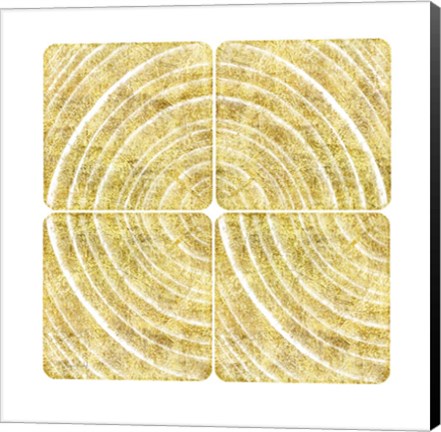 Framed Tree Ring Triptych I Print