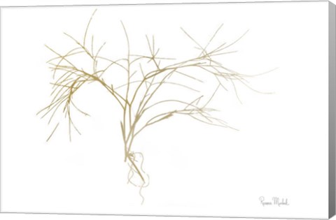 Framed Twiggy Algae Gold on White Print
