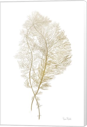 Framed Fern Algae Gold on White Print