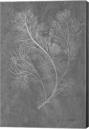 Framed Fern Algae Silver on Black 2 Print