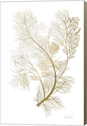 Framed Fern Algae Gold on White 2 Print