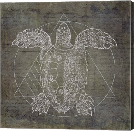 Framed Turtle Geometric Silver Print