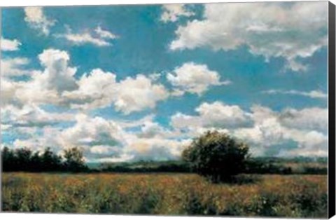 Framed Douglas Edwards - Midday Sky Size 44.25x31.5 Print
