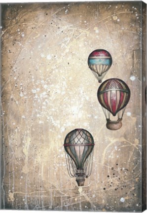 Framed Taking to the Skies II Print