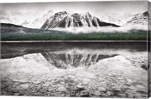 Framed Waterfowl Lake I BW with Color Print