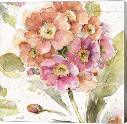 Framed Country Bloom VI Print