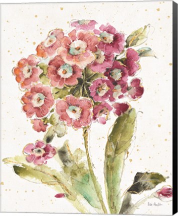 Framed Country Bloom II Print
