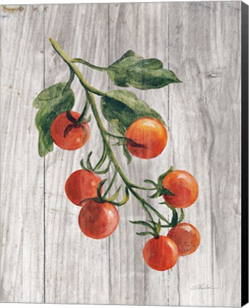 Framed Market Vegetables IV Print
