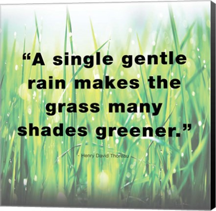 Framed Single Gentle Rain - Henry Thoreau Quote (Light) Print