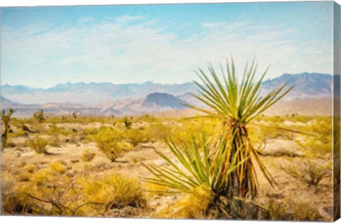 Framed Utah Desert Yucca Print