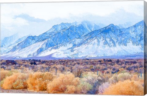 Framed High Desert Vista II Print