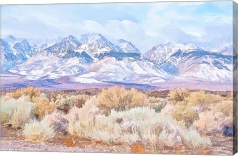 Framed High Desert Vista III Print