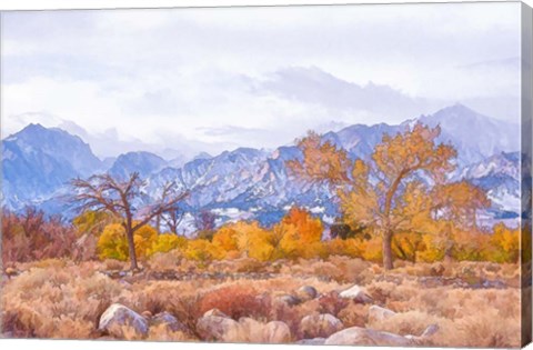 Framed High Desert Vista IV Print