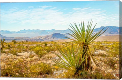 Framed Utah Desert Yucca Print