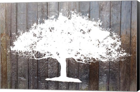 Framed White Tree on Wood Print